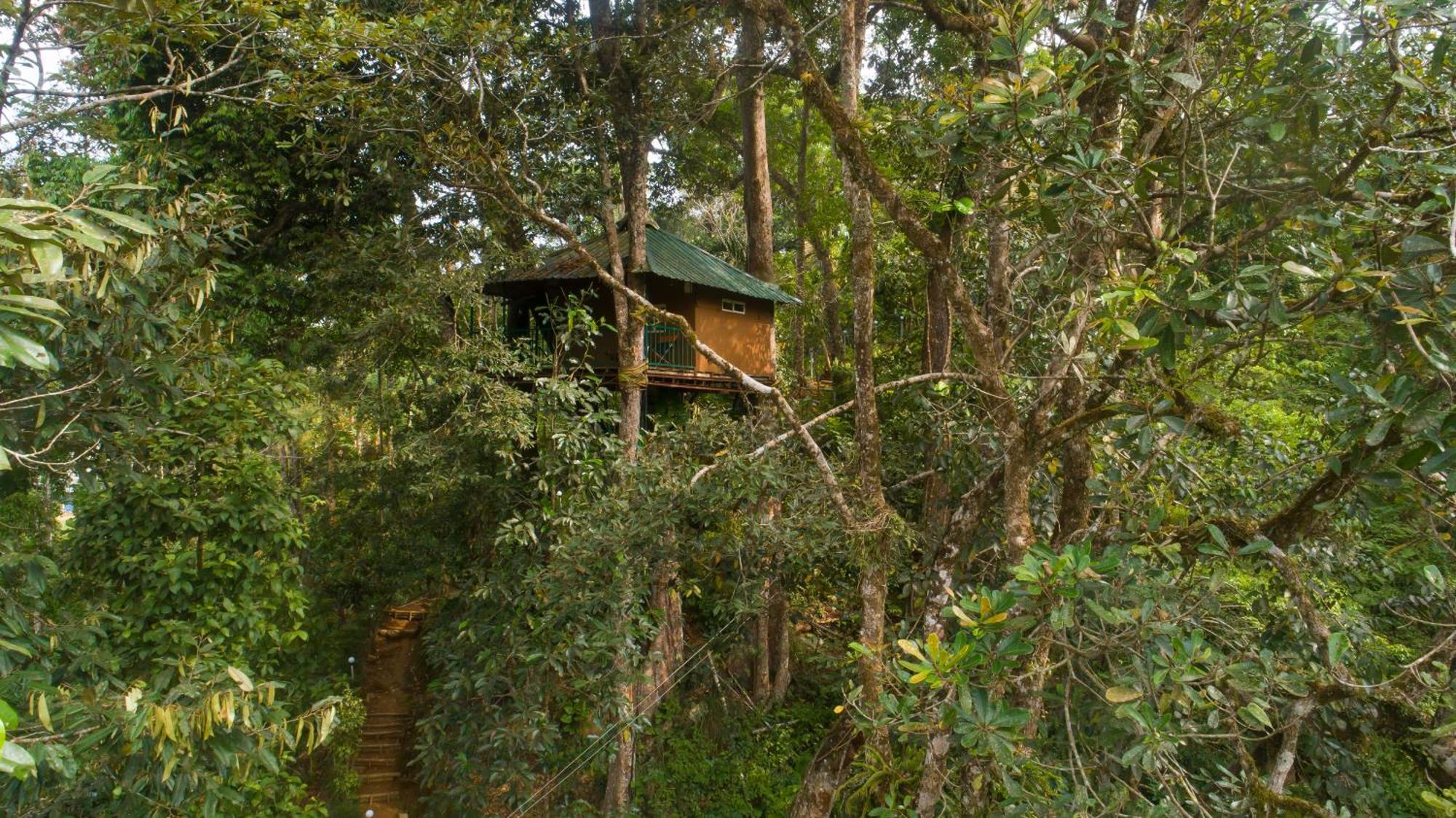 Ela Ecoland Nature Retreat Munnar Bagian luar foto