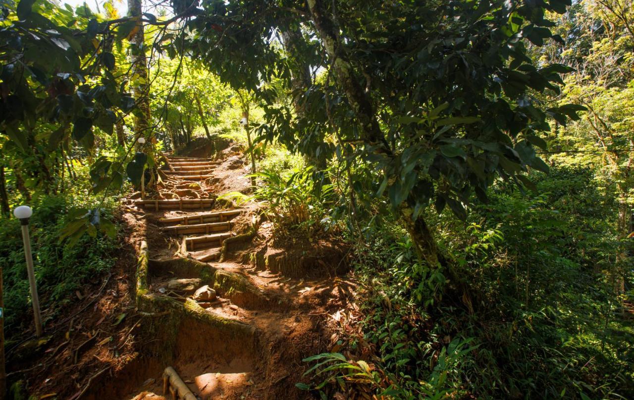 Ela Ecoland Nature Retreat Munnar Bagian luar foto
