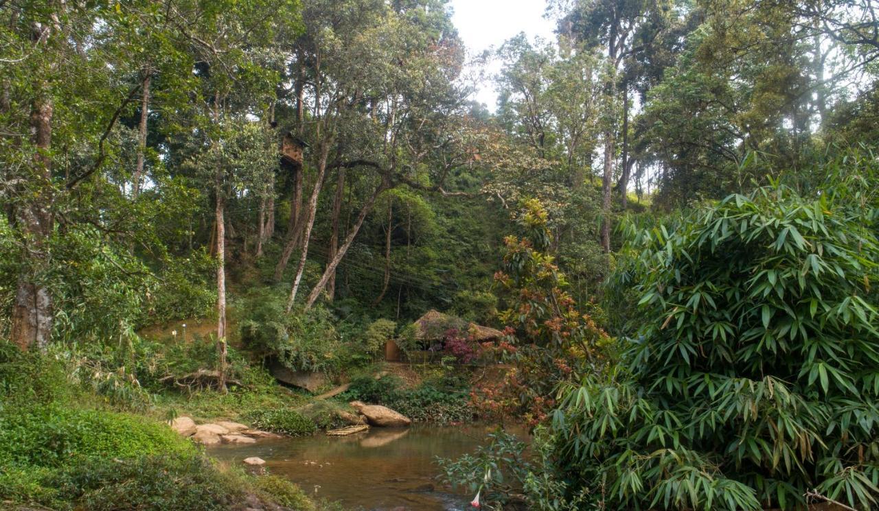 Ela Ecoland Nature Retreat Munnar Bagian luar foto