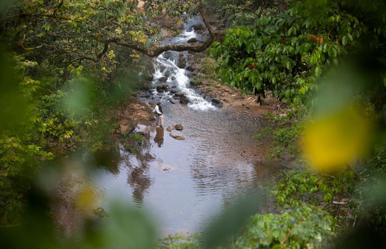 Ela Ecoland Nature Retreat Munnar Bagian luar foto