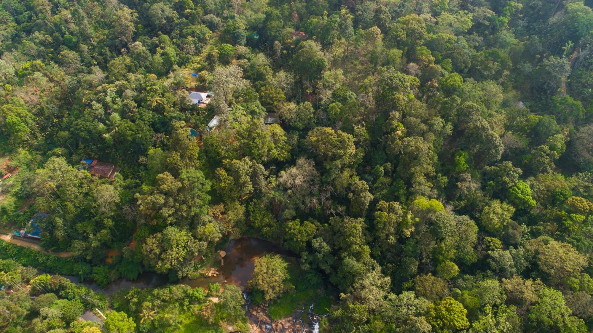 Ela Ecoland Nature Retreat Munnar Bagian luar foto