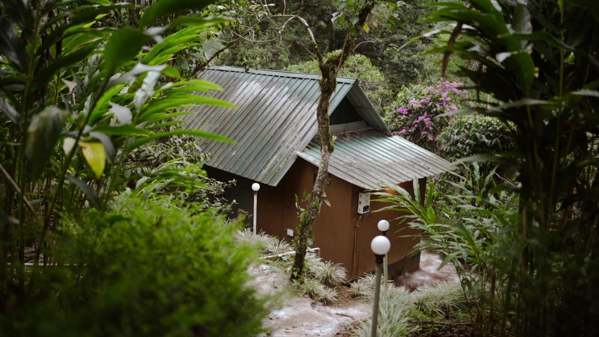 Ela Ecoland Nature Retreat Munnar Bagian luar foto