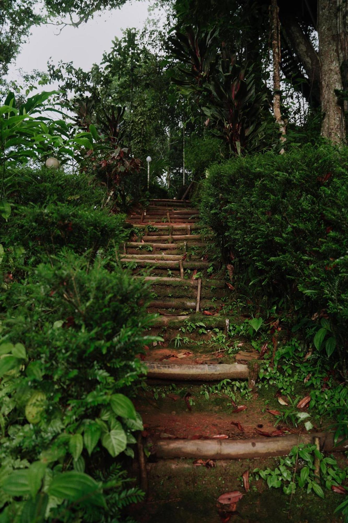 Ela Ecoland Nature Retreat Munnar Bagian luar foto