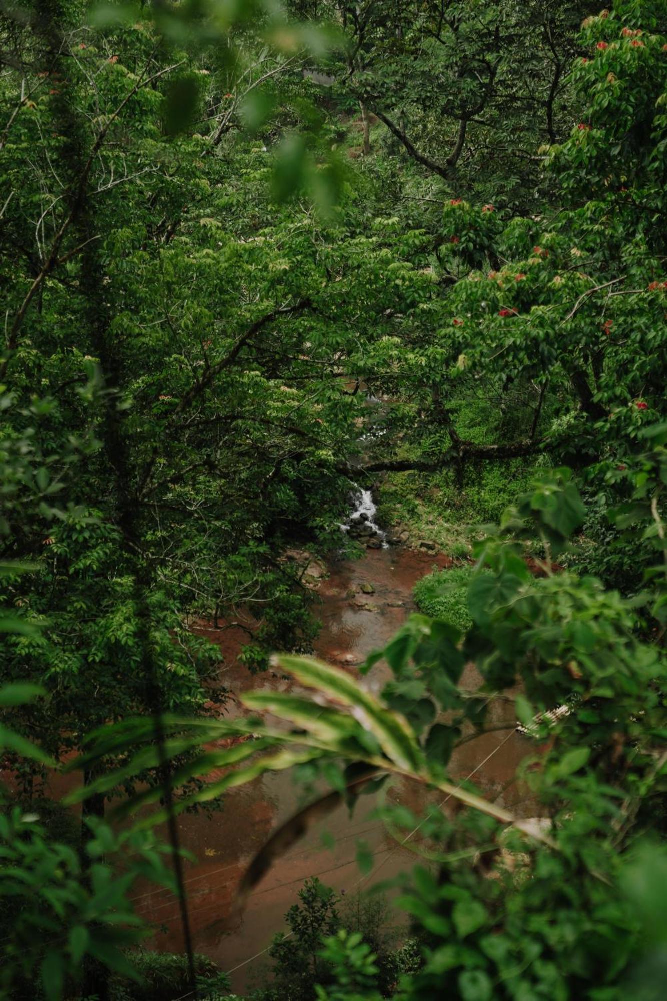 Ela Ecoland Nature Retreat Munnar Bagian luar foto