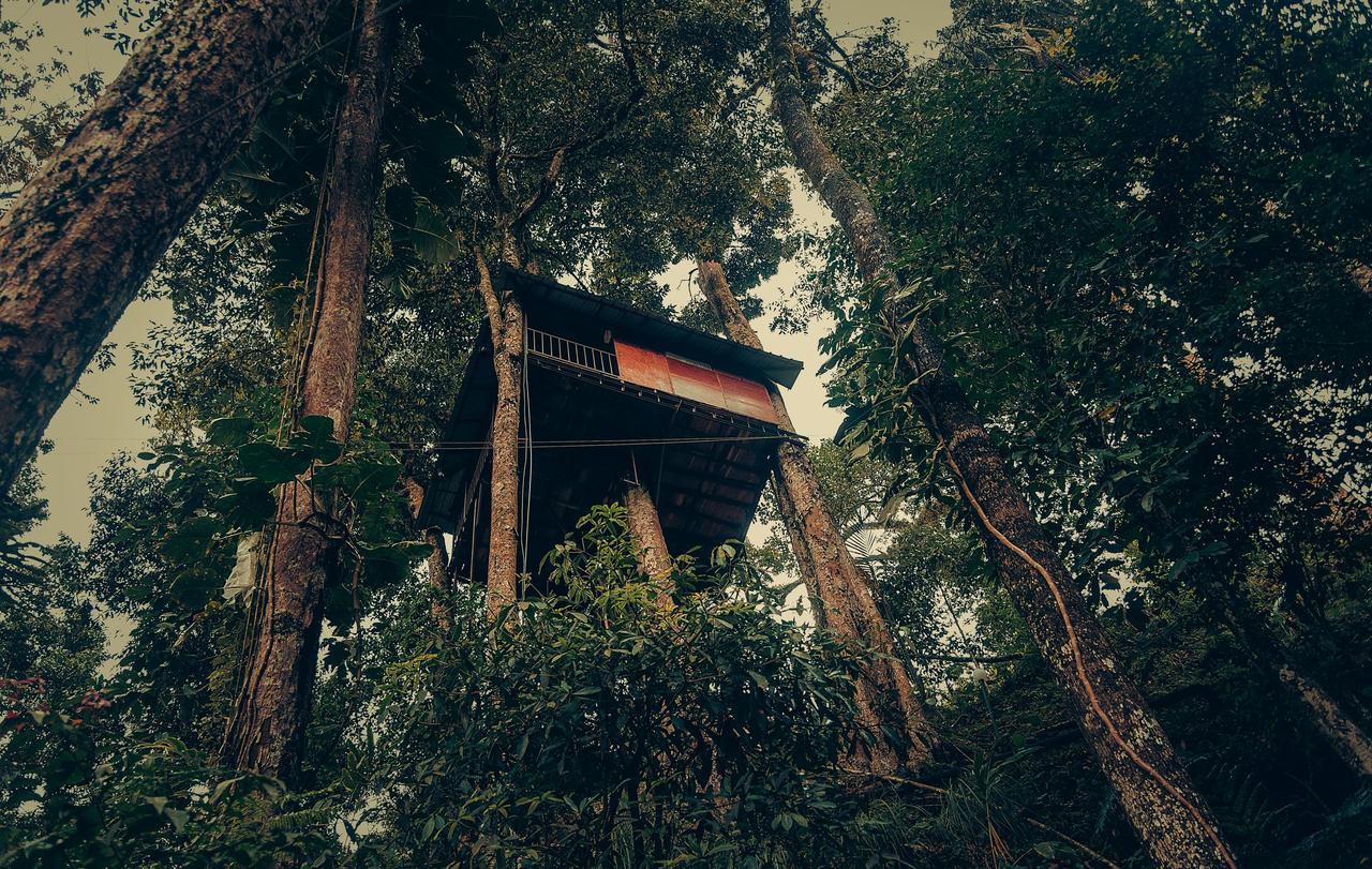 Ela Ecoland Nature Retreat Munnar Bagian luar foto