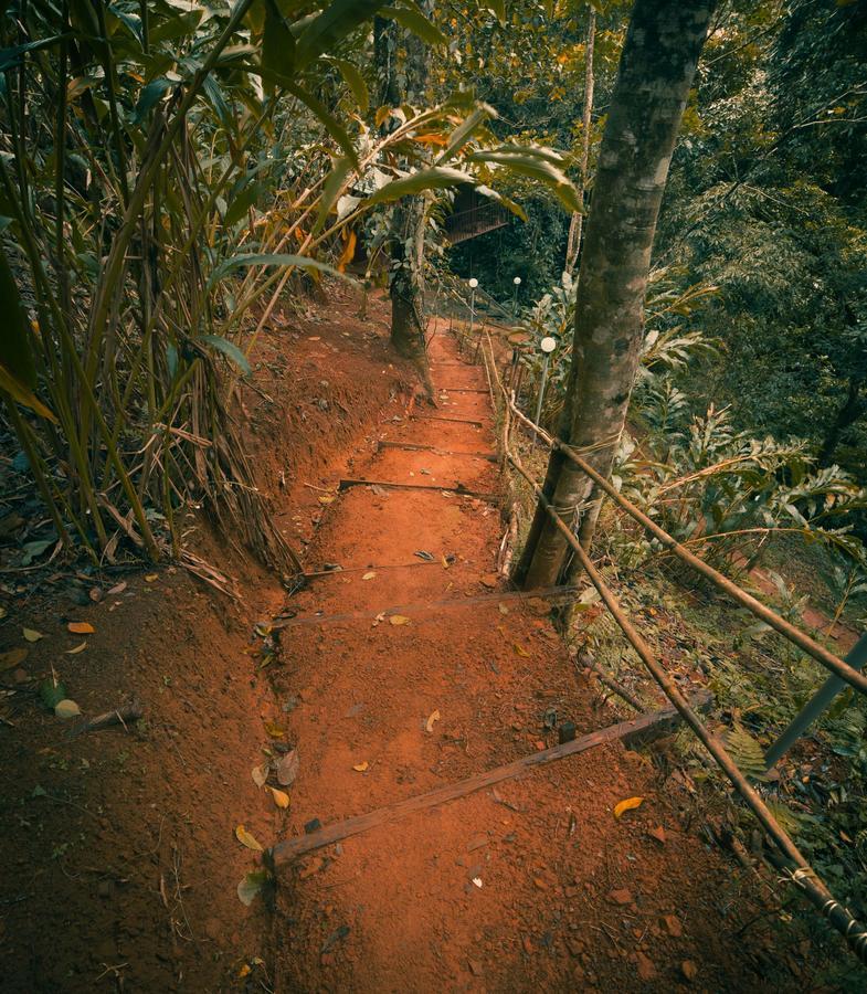 Ela Ecoland Nature Retreat Munnar Bagian luar foto